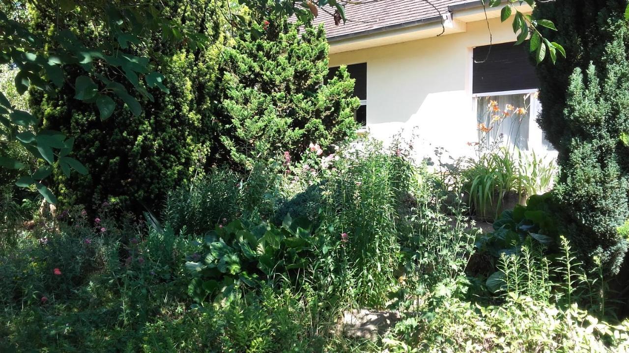 Chambres Du Jardin Fleuri Saint-Aubin-lès-Elbeuf Zewnętrze zdjęcie