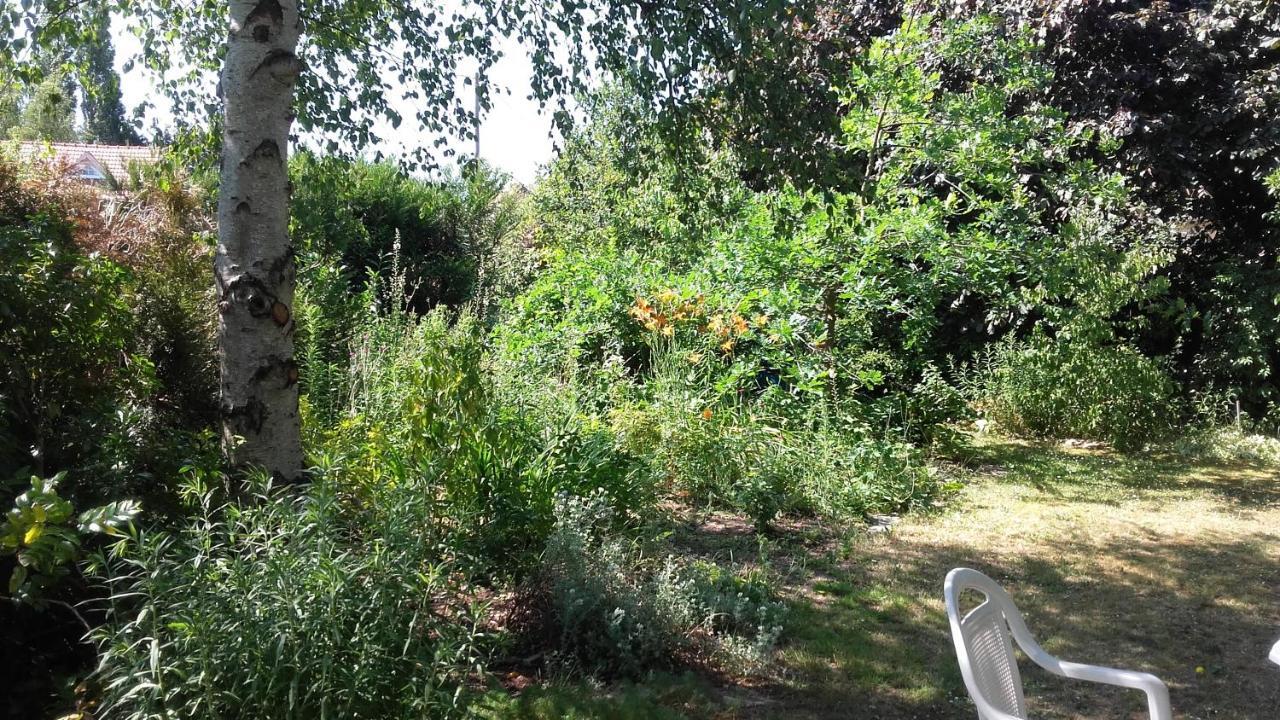 Chambres Du Jardin Fleuri Saint-Aubin-lès-Elbeuf Zewnętrze zdjęcie