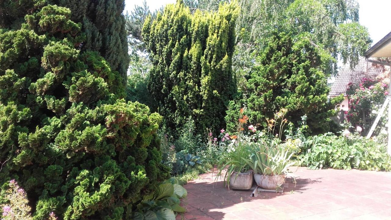 Chambres Du Jardin Fleuri Saint-Aubin-lès-Elbeuf Zewnętrze zdjęcie